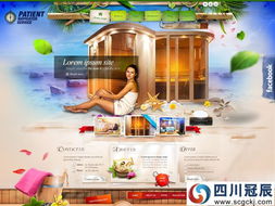 装饰业网站建设与设计的艺术 精品案例解析与网络推广策略