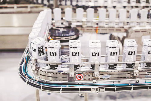 新旧赛道齐发力，体量肌肉共增长 网站建设的双核驱动之道